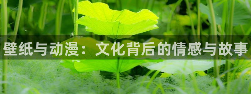 同人动漫·中国：壁纸与动漫：文化背后的情感与故事